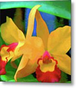 Yellow Orchid Metal Print