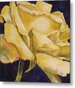 Yellow Rose 102 Metal Print
