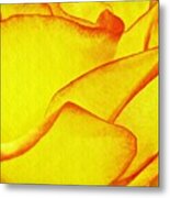 Yellow Rose Abstract Metal Print