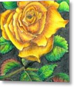Yellow Rose Metal Print