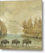 Yellowstone And Bisons Metal Print