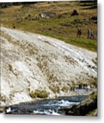 Yellowstone Park August At The Surronding Area Old Faithful Inn Vertical 04 Metal Print