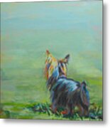 Yorkie In The Grass Metal Print