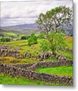 Yorkshire Dales Landscape Malham Metal Print