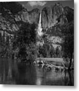 Yosemite Falls From Swinging Bridge In Black And White Metal Print