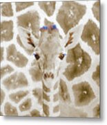 Young Giraffe Metal Print