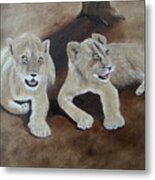 Young Lions Metal Print