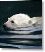 Young Polar Bear Swimming Metal Print