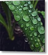 Quench Metal Print