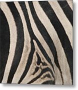 Zebra Stripes Metal Print