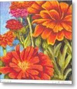 Zinnias  Sold Prints Available Metal Print