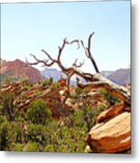 Zion Hike 1 View 4 Metal Print