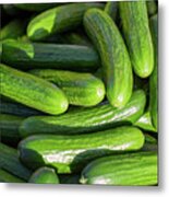 Zucchini Squash Metal Print