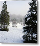 30/01/19  Rivington. Memorial Arboretum. #1 Metal Print