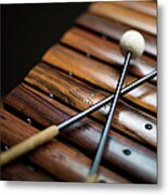 A Xylophone #1 Metal Print