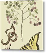 Acacia & Sulphur Butterfly #1 Metal Print