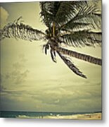 Beach In Mexico #1 Metal Print