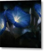 Blue Eyes Blue #1 Metal Print