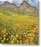 Boundary Cone Butte Metal Print