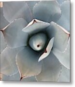 Cactus, If, You, Can #1 Metal Print