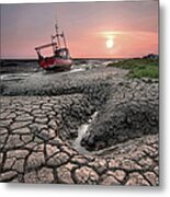 Cracked Mud #1 Metal Print