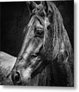 Dark Horse #1 Metal Print