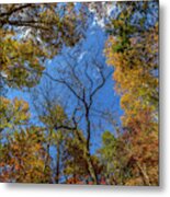 Dreaming In Smithgall Woods #2 Metal Print