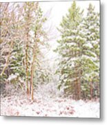Forest Edge In Snow, Pocono Mountains, Pennsylvania #2 Metal Print