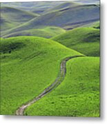 Green Hills With Road #1 Metal Print