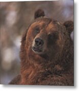 Grizzly  #1 Metal Print