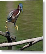 Heron Hop #1 Metal Print