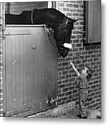Horse And Child #1 Metal Print