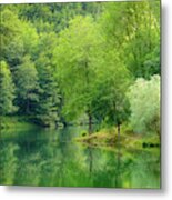 In The Heart Of Nature #1 Metal Print