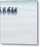 King Penguins On Windy Beach #1 Metal Print
