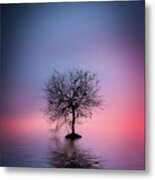 Lone Tree #1 Metal Print