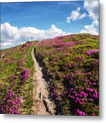 Magic Pink Rhododendron Flowers #1 Metal Print