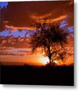 Mesquite Sunset #2 Metal Print