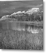 Miette Range And Talbot Lake Jasper #1 Metal Print