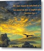 Morning Flight #2 Metal Print