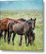 Osage Horses #2 Metal Print