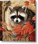 Raccoon #1 Metal Print