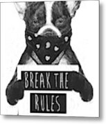 Rebel Dog Ii #1 Metal Print