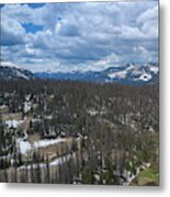 Rio Grande National Forest Area #1 Metal Print