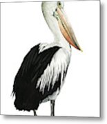 Sea Bird Iv #1 Metal Print