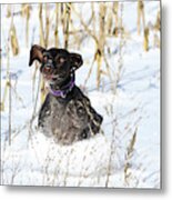 Silly Face Macie Metal Print