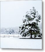 Snowy Sentinel #1 Metal Print