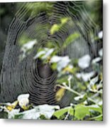 Spider At Work #1 Metal Print