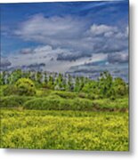 Spring Is In The Air #2 Metal Print