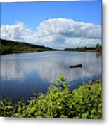 The River Suir At Fiddown #1 Metal Print