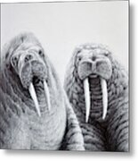 Walrus Buddies Metal Print